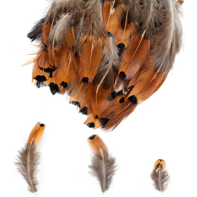 Brown Feathers